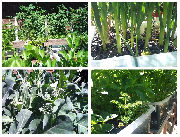 Comp Three 30.11.13.jpg