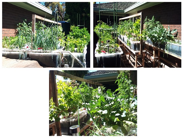 Comp Four 30.11.13.jpg