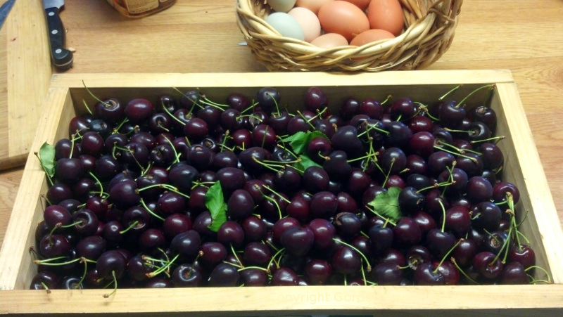 cherries-and-eggs20131201.jpg