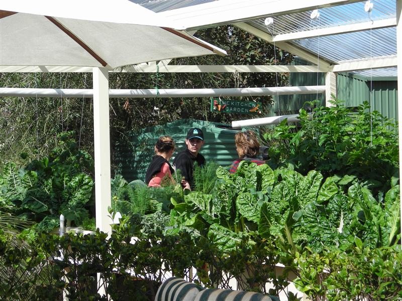 DSCN0235 (Medium).JPG