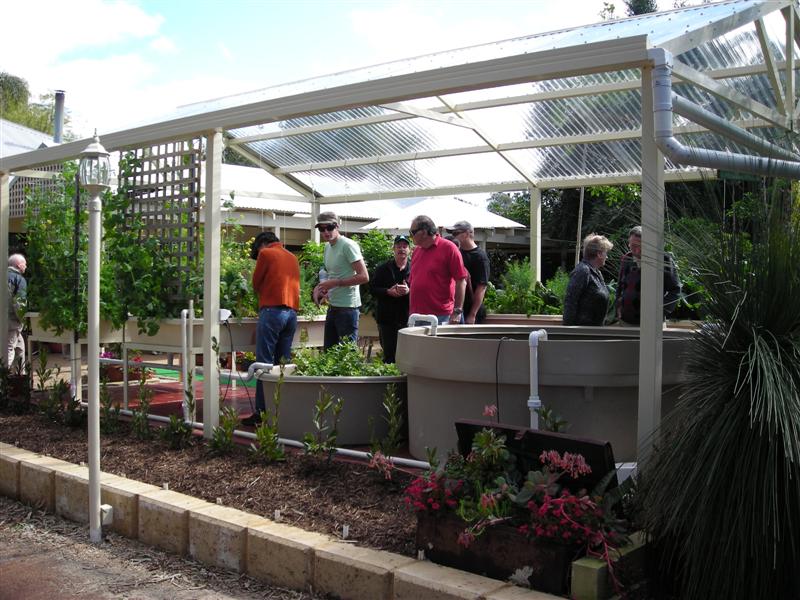 DSCN0217 (Medium).JPG