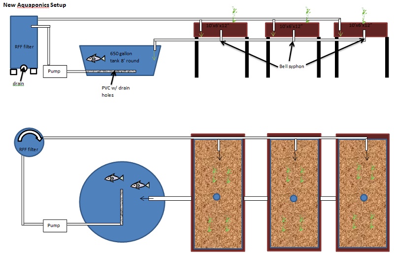 new aquaponics setup w rff.jpg