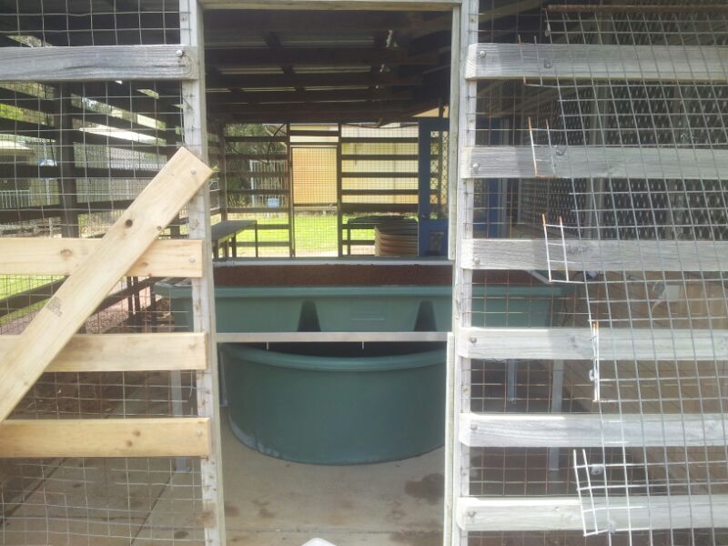 Backyard Aquaponics courtyard Install 03.jpg