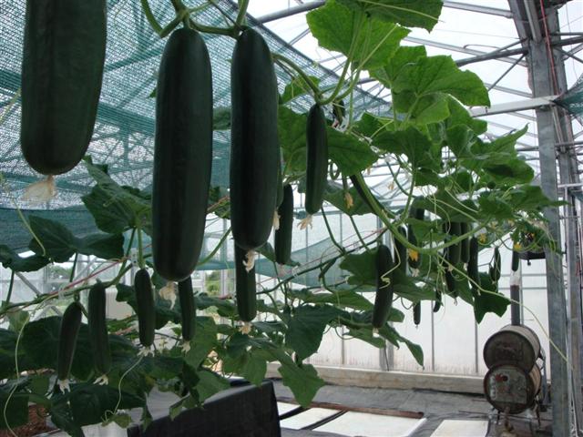 DSC06624 (Small).JPG