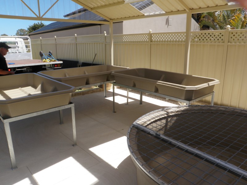 PC050588 (Custom).JPG