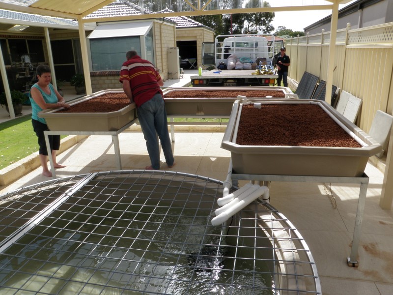 PC050639 (Custom).JPG