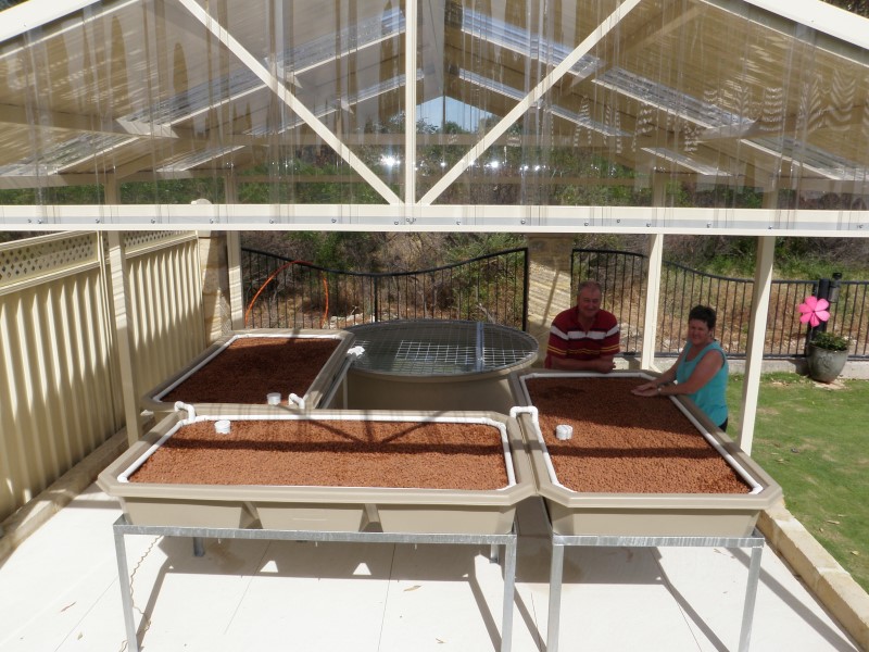 PC050641 (Custom).JPG