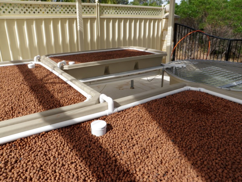 PC050649 (Custom).JPG