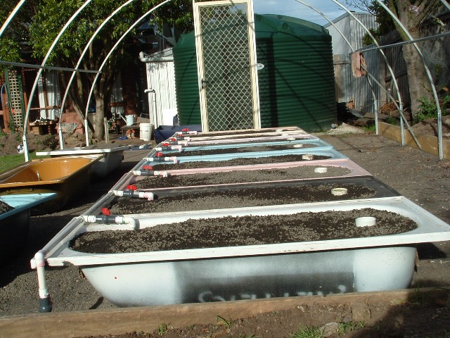 Grow beds,sump and fish tank. 032.jpg
