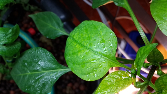 2013-12-07 23.06.44.jpg