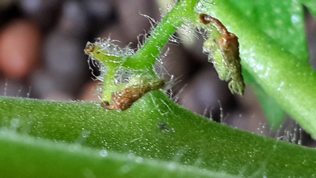 2013-12-07 23.08.58.jpg