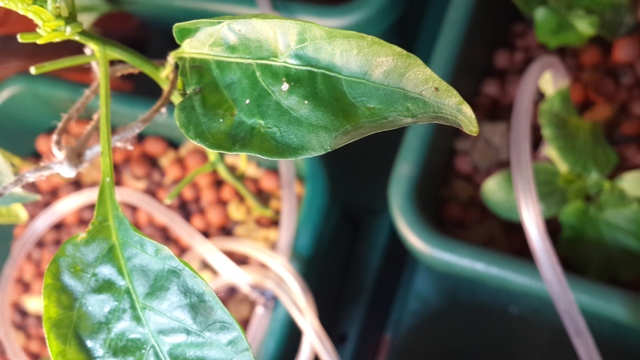 2013-12-07 23.07.05.jpg