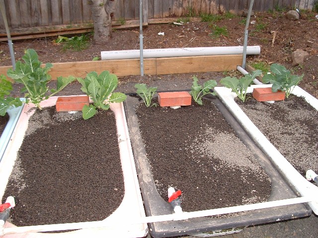 Grow beds,sump and fish tank. 069.jpg