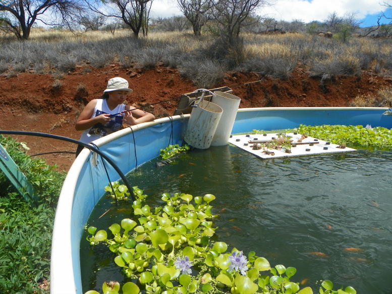 Anak fishing tilapia.jpg