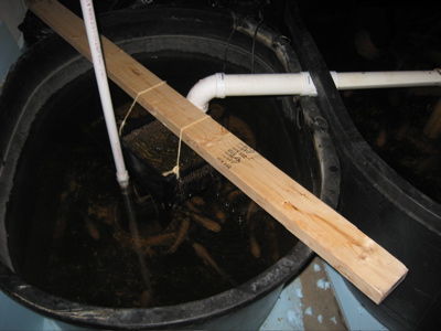 Sump Sep 10.jpg