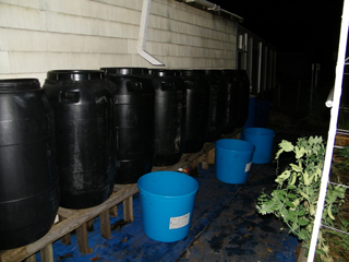 barrels 7 small.jpg