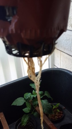 2013-12-10 08.19.15.jpg