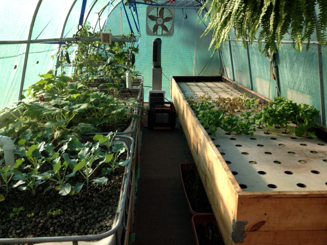 greenhouse dec.jpg