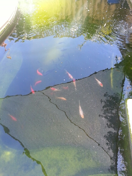 Pieces of Gold and Silver.png