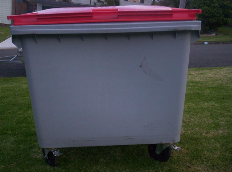 100_2218 (Medium).JPG