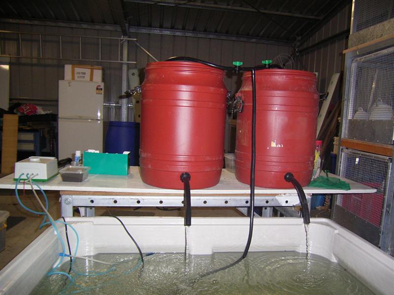 Picture 003 (Medium).jpg