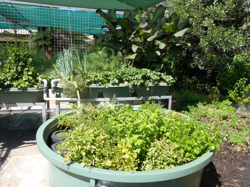 P1010002 (Custom).JPG