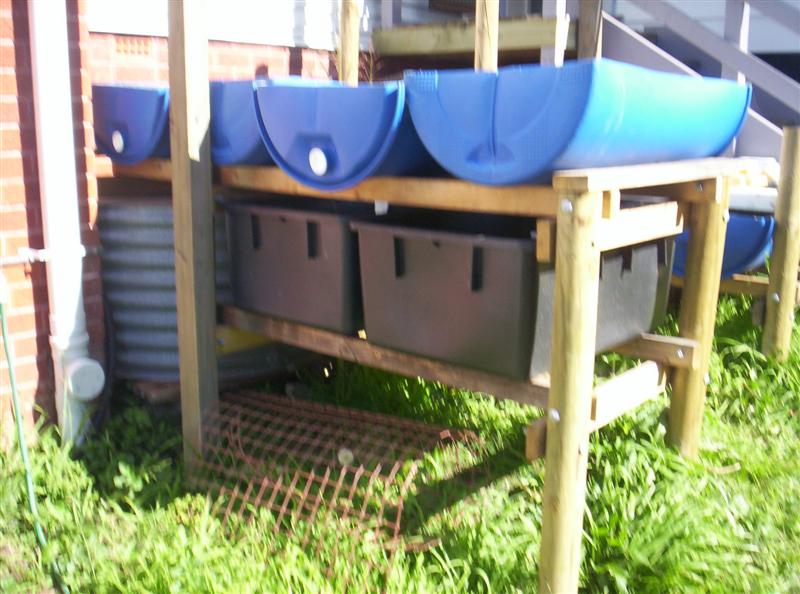 100_2155 (Medium).JPG