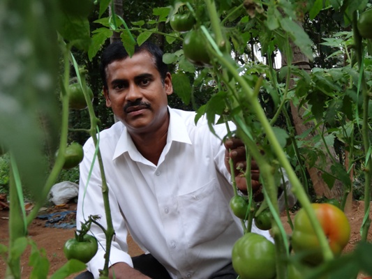 Aquaponics Vijay1.JPG