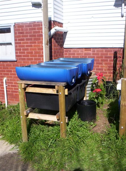 100_2153 (Medium).JPG