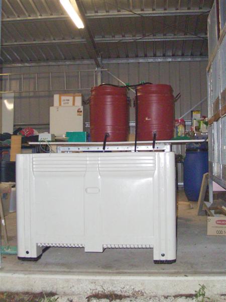 Picture 002 (Medium).jpg