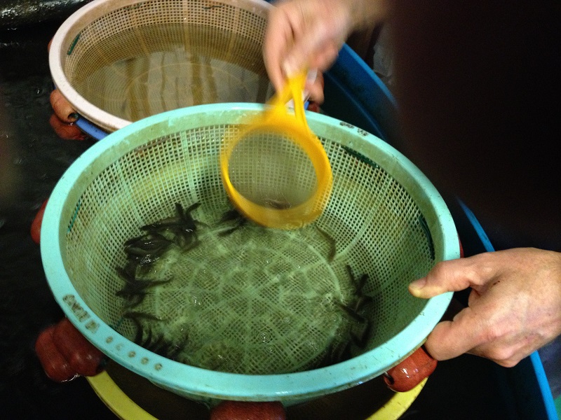 ...48, 49, 50!!!.jpg