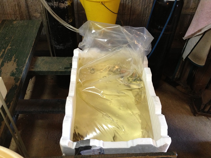 Bagged and almost ready to travel.jpg