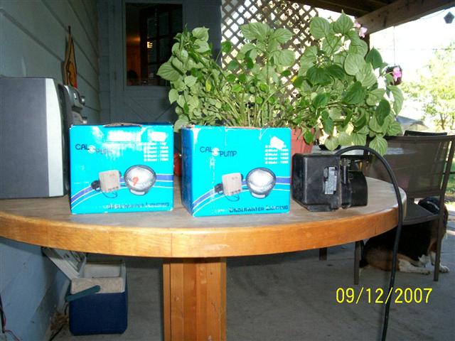 100_0206 (Small).jpg