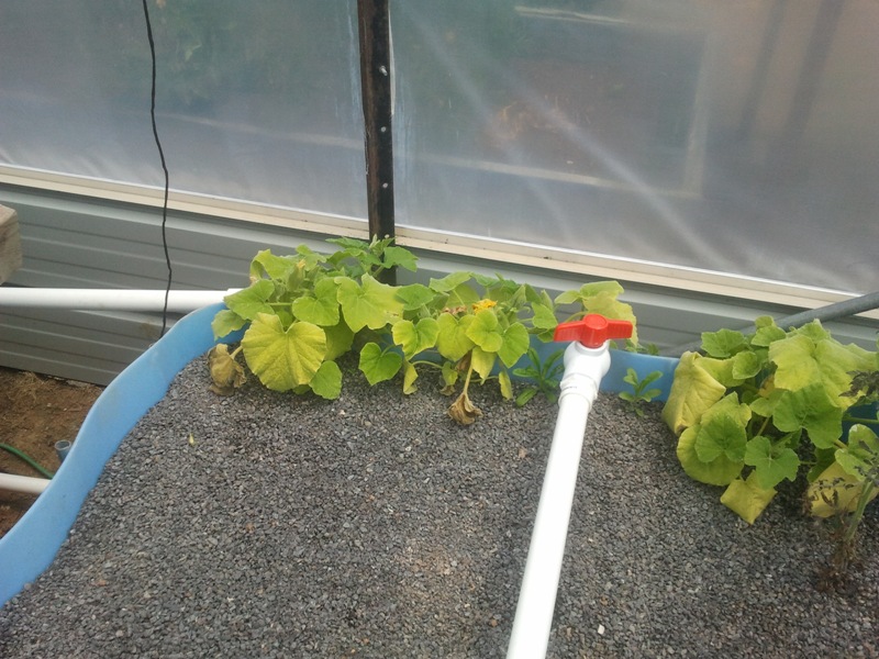 2013-12-20 14.52.08.jpg