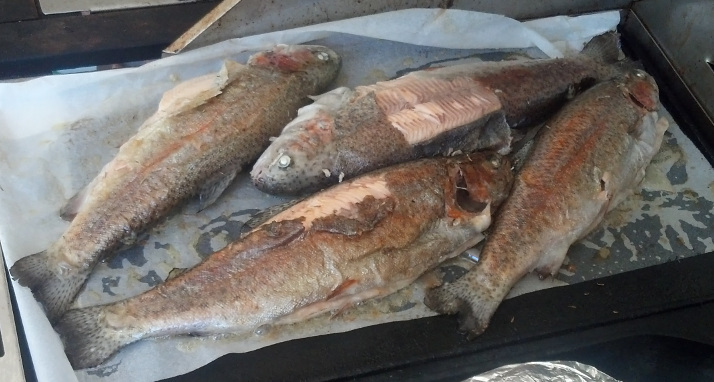 TroutBBQ.jpg