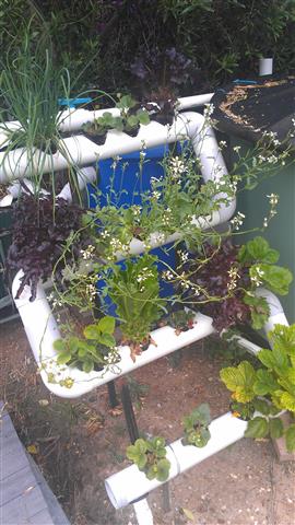 IMAG0123 (Small).jpg