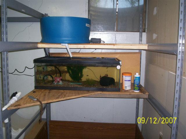 100_0200 (Small).jpg