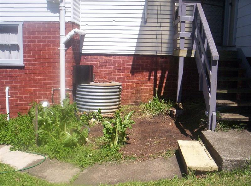 Aquaponics Project 076 (Medium).jpg