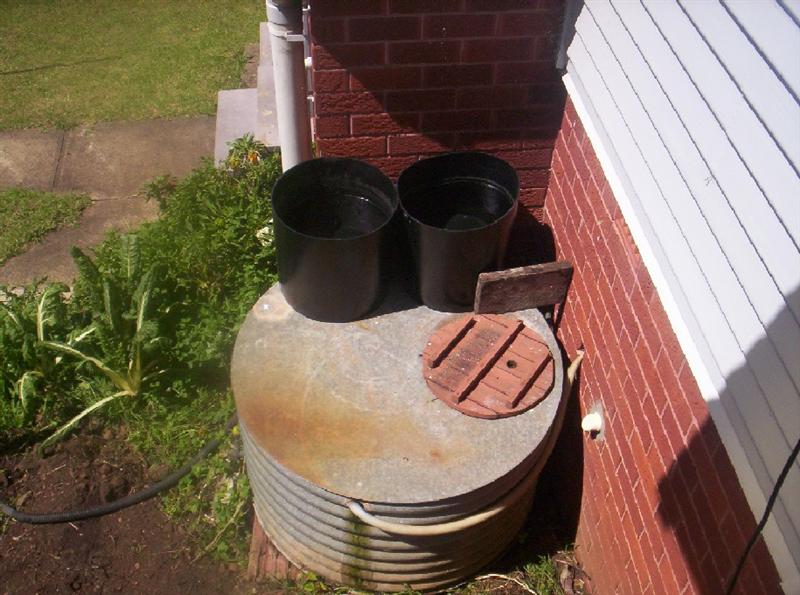 Aquaponics Project 079 (Medium).jpg