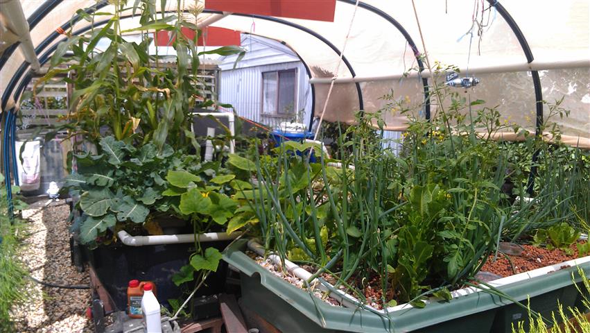 IMAG0180 (Small).jpg