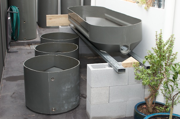 Aquaponics Setup 03012014 001.jpg