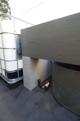 Aquaponics Setup 06012014 001.jpg