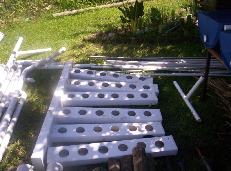 Aquaponics Project 082 (Medium).jpg