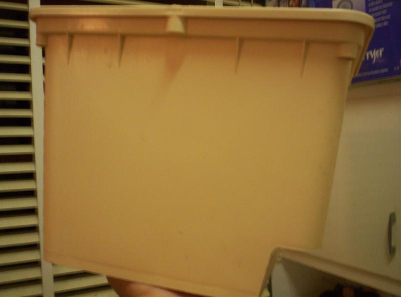 Aquaponics Project 057 (Medium).jpg