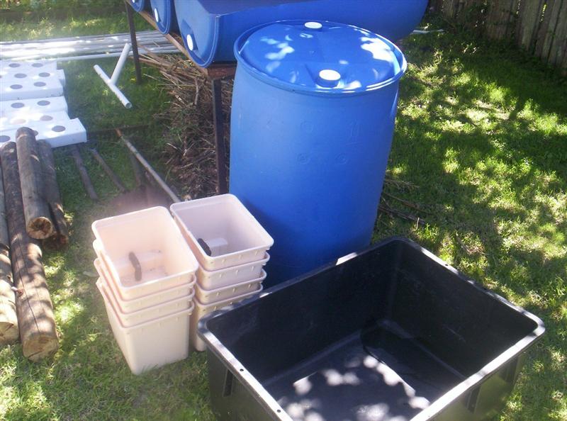 Aquaponics Project 081 (Medium).jpg
