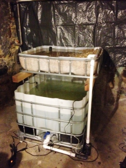 2014-01-06 19.09.49.jpg