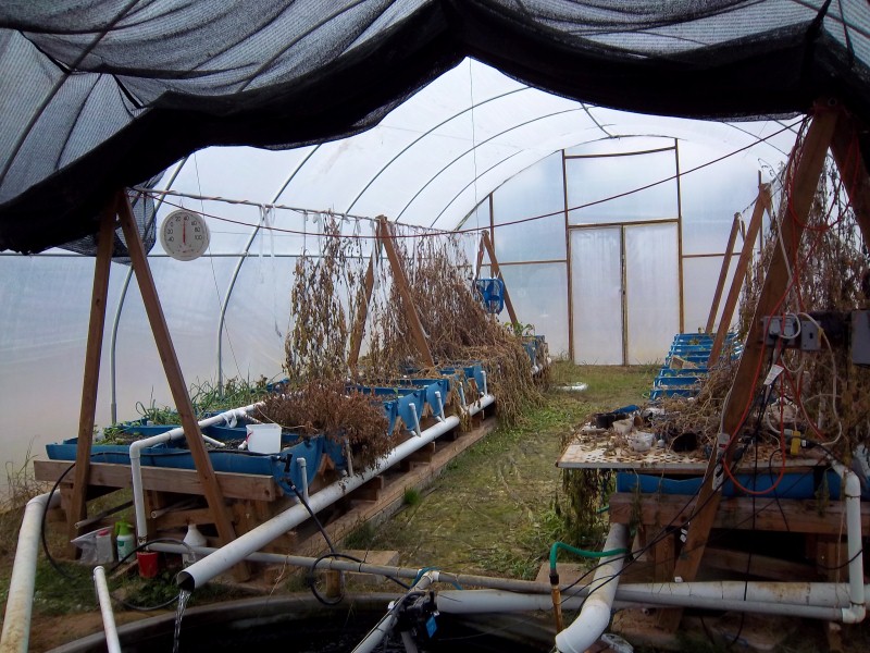 Picture 002 (Custom).jpg