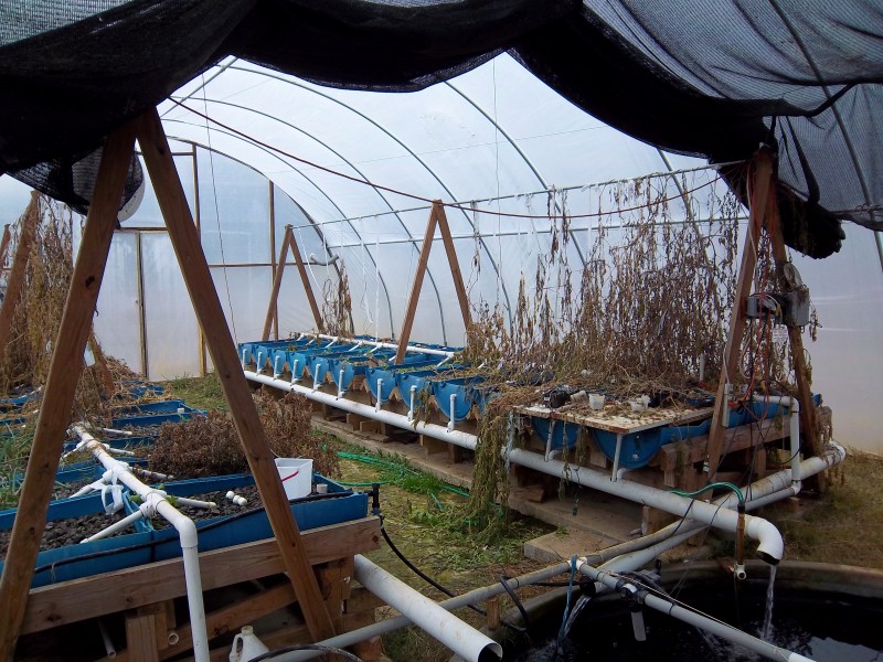 Picture 003 (Custom).jpg