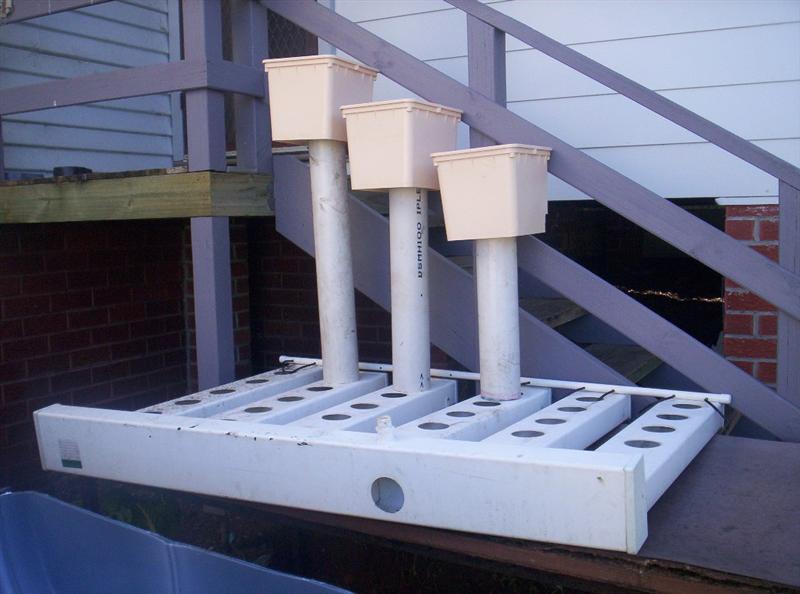 Aquaponics Project 087 (Medium).jpg