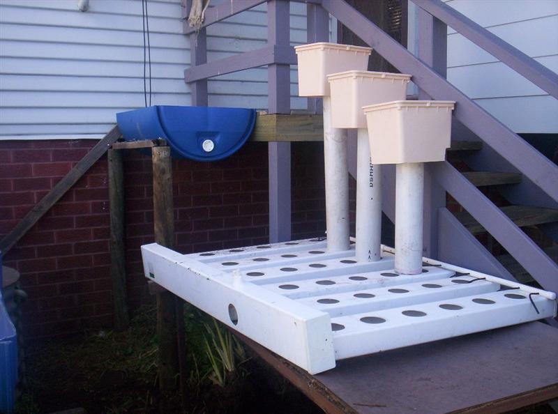 Aquaponics Project 088 (Medium).jpg